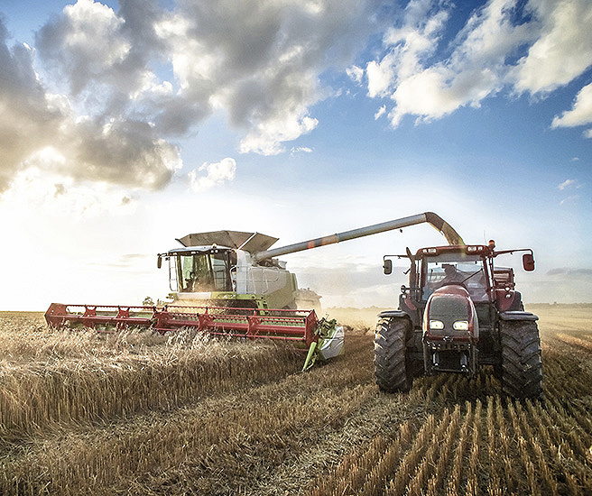 Agricultura