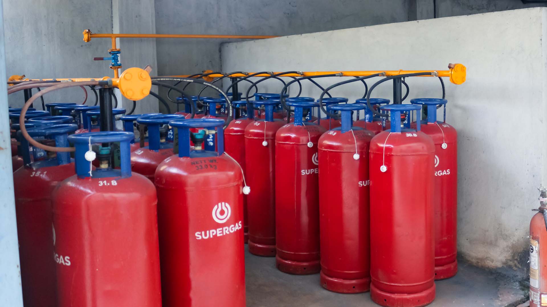 Manguera y accesorios para gas LP